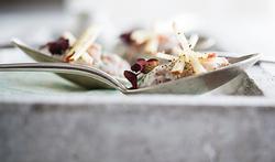 Tartare de maquereau à la menthe et pomme rouge